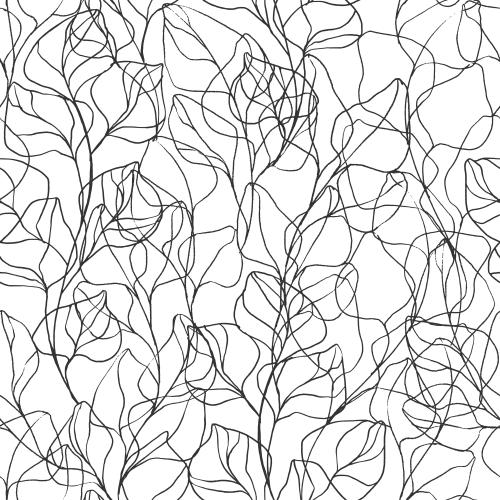 Eukalyptus. Vektor Eukalyptuszweige, schwarze Konturen auf weißem