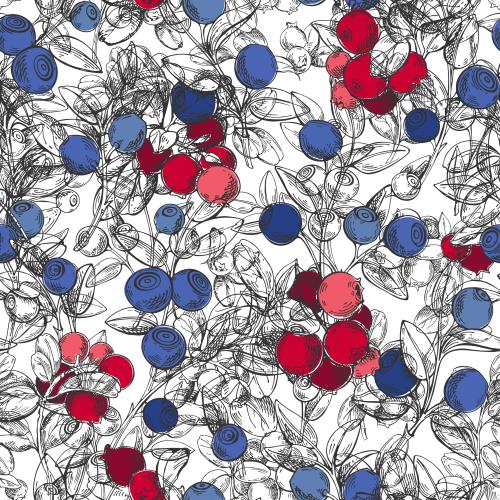 Vektorgrafik zweige von blaubeeren und himbeeren auf weißem