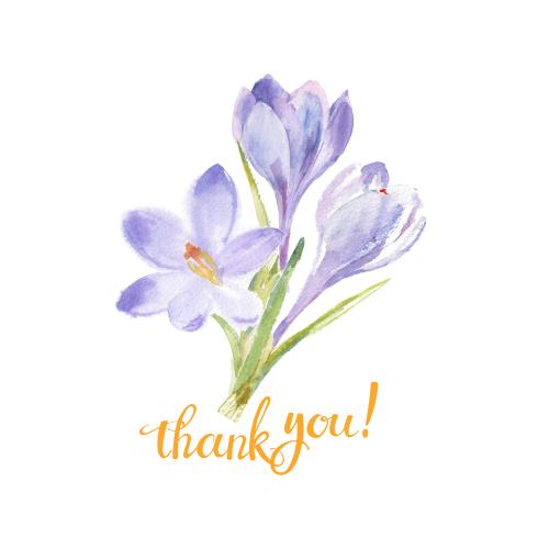 Rasterbild aquarellblumenbouquet der krokusse und schriftzug 'thank you' auf weißem