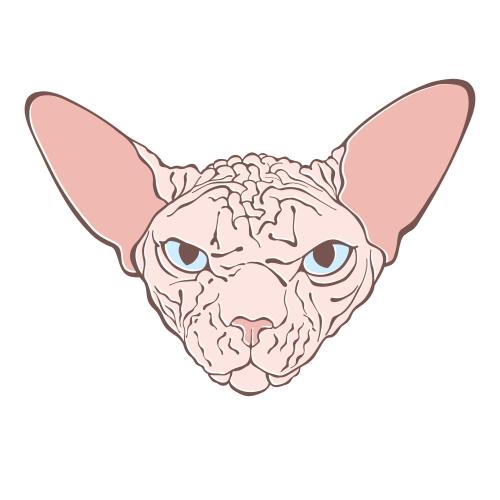 Kanadische sphynx. Vektor kanadischer Sphynx, farbiges Gesicht auf weißem