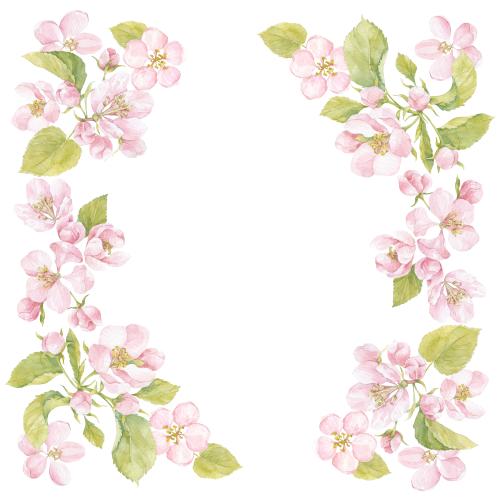 Rasterbild aquarellblumen und apfelbaumblätter, platz für text auf weißem