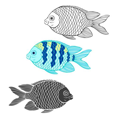 Vektorgrafik exotische fische, kontur und silhouetten auf weiß