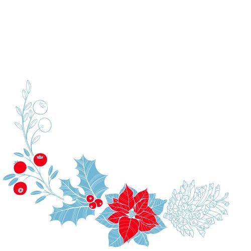 Kranbeere. Vektor Poinsettia Echinacea Tannenknospe Kranbeere Platz Für Text Auf Weiss Winkelige Komposition