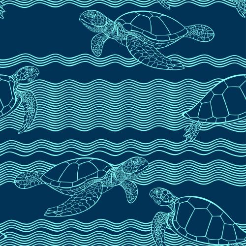 Schildkröte. Vektor Schildkröten und Wellen auf dem blauen