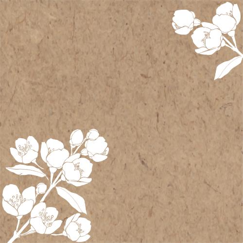 Jasmin. Vektor Blühende Jasminzweige, Platz für Text auf Kraftpapier, Winklige Komposition