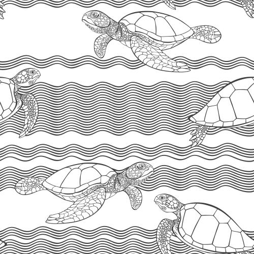 Schildkröte. Vektor Schildkröten und Wellen auf weißem