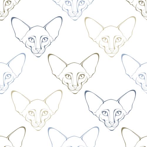 Oriental katze. Vektor Oriental Katze mit farbigen Konturen der Gesichter auf weißem