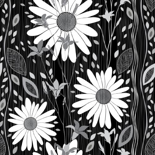 Gänseblümchen. Vektor kamille Glockenblumen Blätter Wellige und Gerade Vertikale Linien Auf Schwarzem