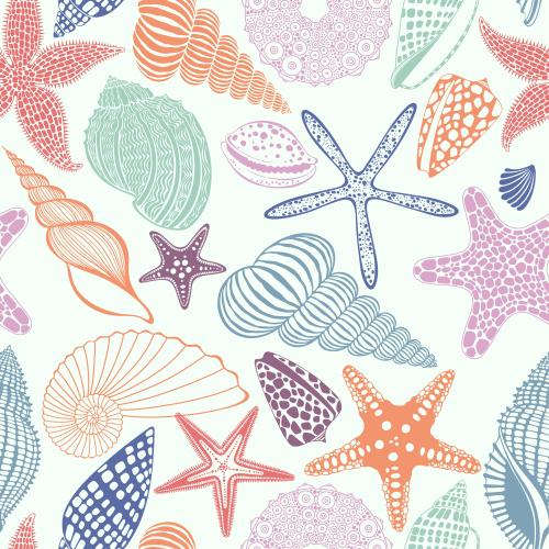 Nautilus. Vektor Meersterne, Muscheln, Meeresschweinchen, Nautilus, farbenfrohe Silhouetten und Konturen auf hellem