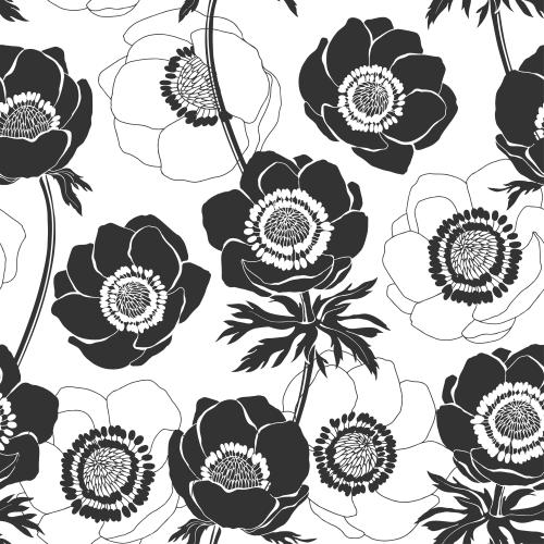 Anemone. Vektor anemones Konturen und Silhouetten auf Weissem