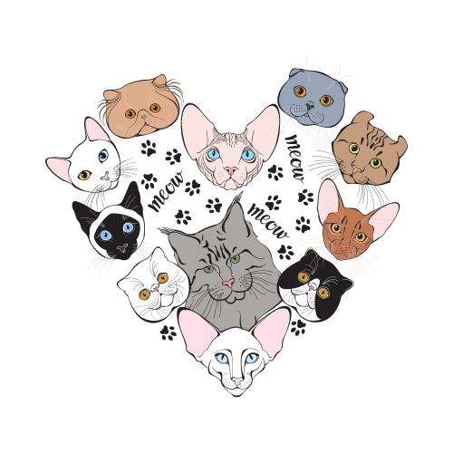 Vektorgrafik gesichter von kätzchen verschiedener rassen, pfotenabdrücke, schriftzug 'meow', komposition in form eines herzens auf weißem