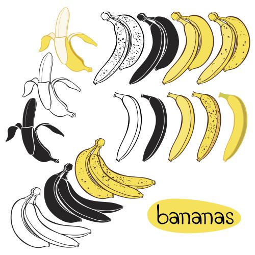 Frucht. Vektor Banane, Konturen, schwarze und farbige Silhouetten auf weißem