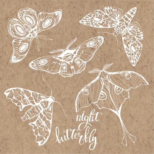 Vektorgrafik nachtschmetterlinge auf kraftpapier