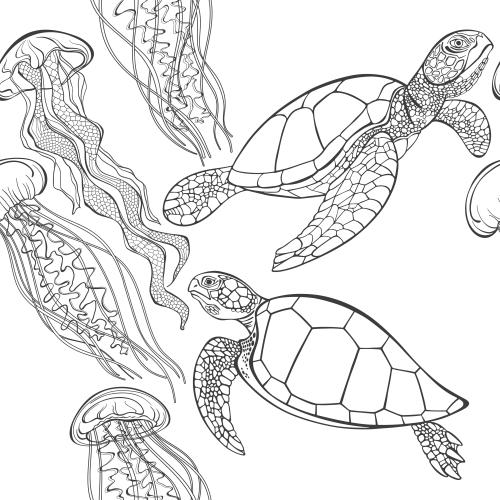 Qualle. Vektor quallen und Schildkröten auf weißem