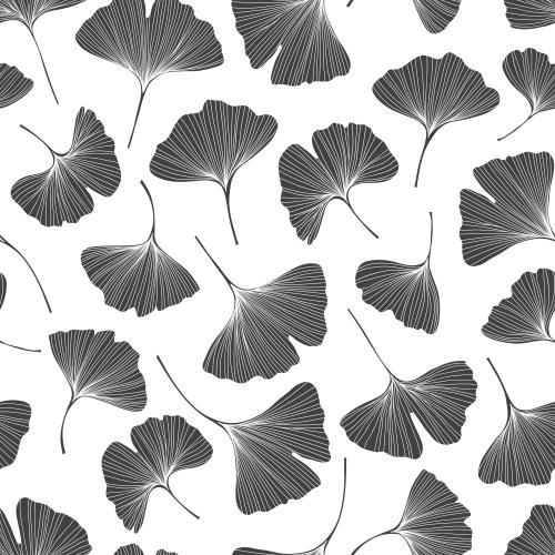 Ginkgo biloba. Vektor Ginkgo biloba, Silhouetten von Blättern auf weißem