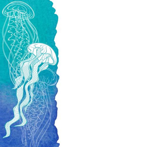 Qualle. Vektor medusen auf dem blauen Akvarellfragment, Textplatz auf dem weißen