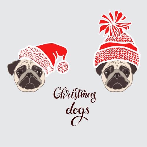 Mops. Vektor Mopse, zwei hübsche Mündchen in Weihnachtsmützen