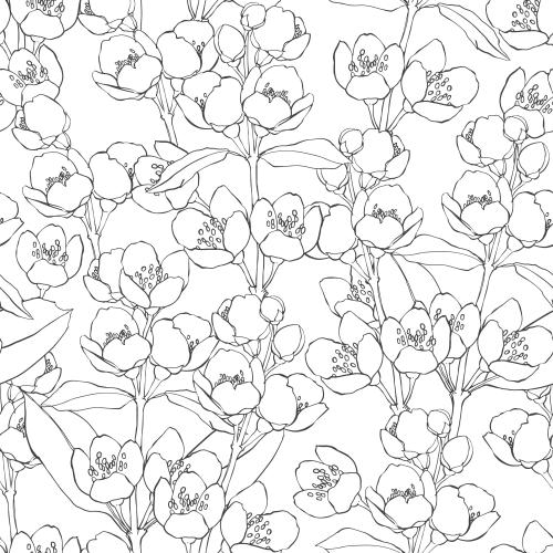 Jasmin. Vektor jasminblumen auf weissem