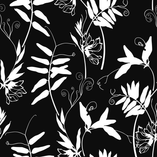 Vektorgrafik feldblumen weiße silhouetten auf schwarzem