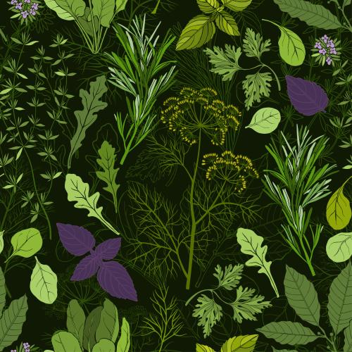 Vektorgrafik thymian, lorbeer, rosmarin, dill, petersilie, basilikum, ruccola, spinat, farbige silhouetten auf schwarzem