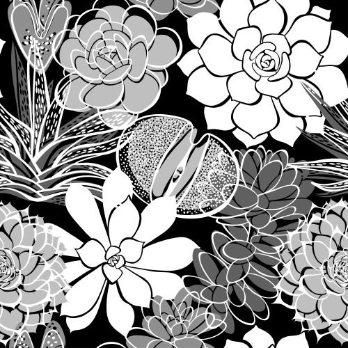 Sukkulente. Vektor monochrom Sukkulenten auf schwarzem