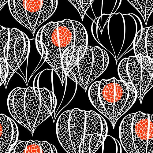 Physalis. Vektor durchbrochene Kästchen der Physalis auf schwarzem