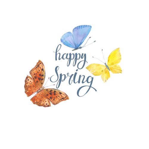 Rasterbild drei aquarellschmetterlinge, inschrift 'happy spring' auf weißem