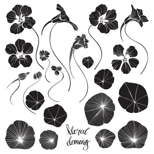 Kapuzinerkresse. Vektor Nasturzien, Blumen, Knospen, Früchte und Blätter, Silhouetten auf weißem