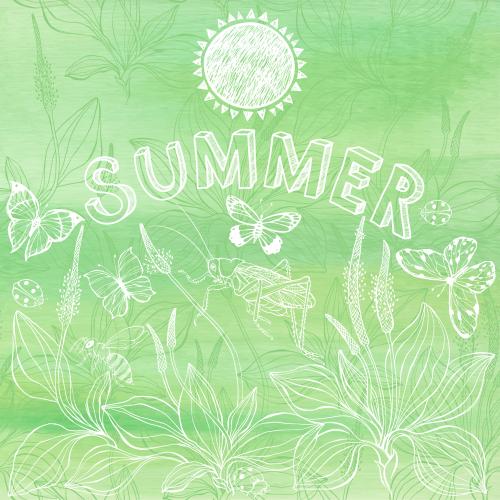 Sommer. Vektor Lungenkraut Schmetterlinge Grashüpfer Marienkäfer Biene Sonne Schriftzug Sommer auf grünem Aquarell