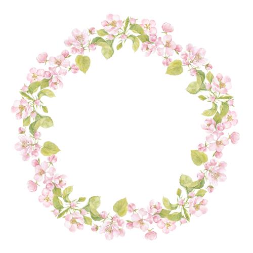 Apfelbaum. Vektor aquarellblumen und Aquarellblätter der Apfelbäume, runde Rahmenkranz auf weißem