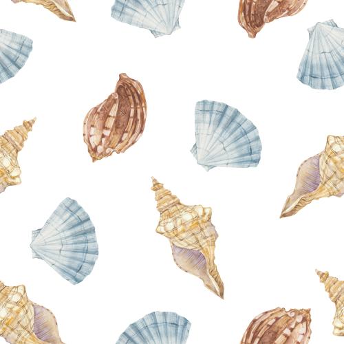 Rasterbild aquarellmuscheln auf weißem