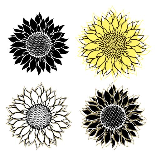 Sonnenblume. Vektor Sonnenblumen, vier Varianten auf weißem