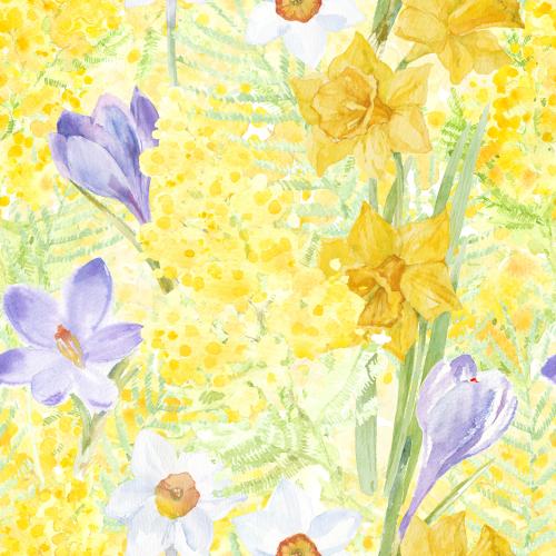 Rasterbild aquarellfrühjahrblumen: mimose, krokusse und narzissen