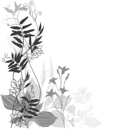 Vektorgrafik feldblumen und gräser, monochrome silhouetten auf weißem, winklige komposition