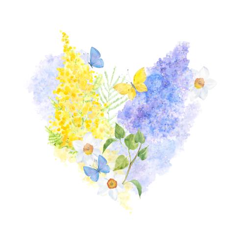 Flieder. Vektor herzchen aus Aquarellblumen, Lilien, Mimosen, Narzissen, Schmetterlinge auf weissem