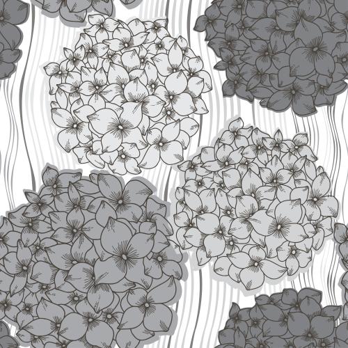 Hortensie. Vektor monochromen Hortensien, wellenfoermige Streifen auf weissem