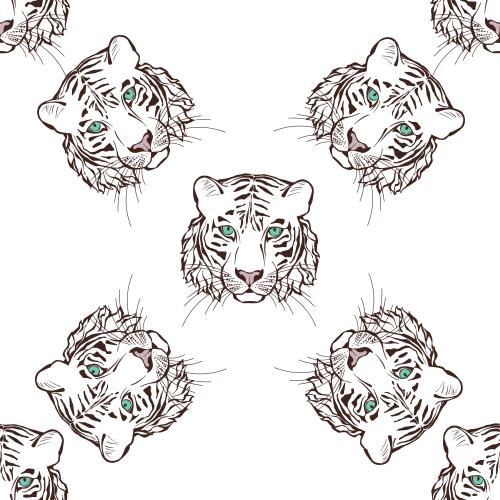 Tiger. Vektor Tigerköpfe auf weißem