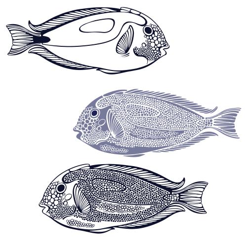 Vektorgrafik exotische fische, konturen und silhouetten auf weiß, drei varianten