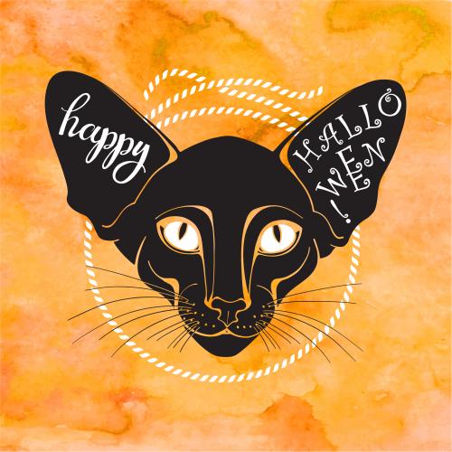 Vektorgrafik schwarzer kater, kreis aus seil, text happy halloween auf orangem aquarell