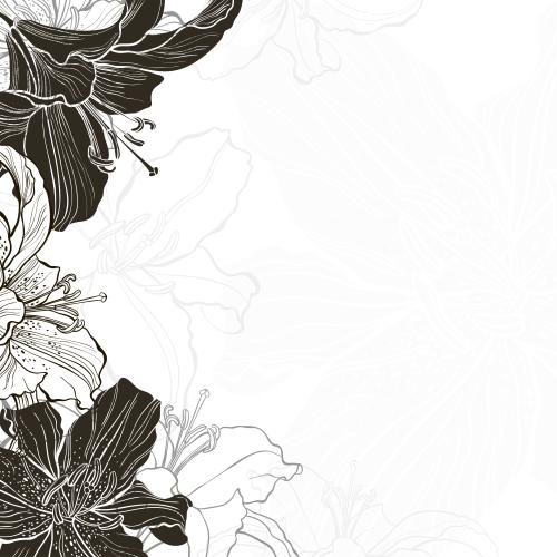 Lilie. Vektor blumen Lilien, Silhouetten und Konturen auf weißem