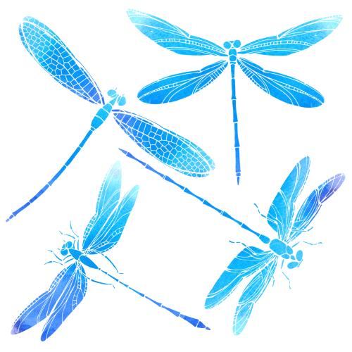 Libelle. Vektor Aquarell-Drachenfliegen auf weißem