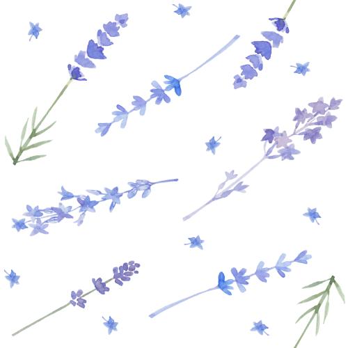Vektorgrafik lavendel auf weißem
