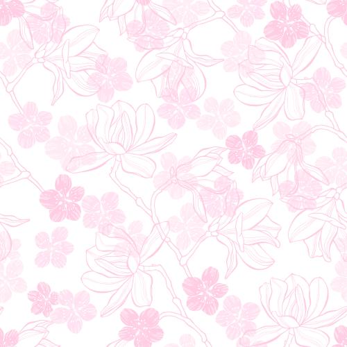 Kirschblüte. Vektor blumen der Magnolien und Kirschblüten auf weißem