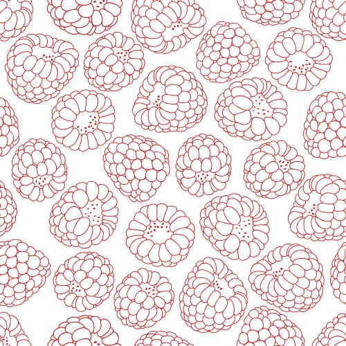 Himbeere. Vektor himbeeren rote Konturen auf weissem