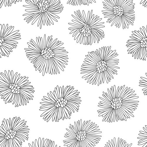 Huflattich. Vektor blumen Schwiegermutter, Konturen auf weißem