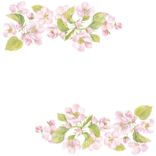 Rasterbild aquarellblumen und apfelbaumblätter, platz für text auf weißem