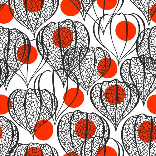 Physalis. Vektor Physalis, durchbrochene schwarze Konturen und rote Beeren auf weißem