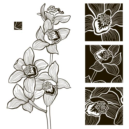 Vektorgrafik blühende orchidee und quadratische blütenfragmente