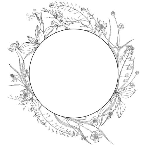 Gras. Vektor runde Rahmen mit Feldblumen und Kräutern, Gänseblümchen, Pastushka, Lilien auf weißem