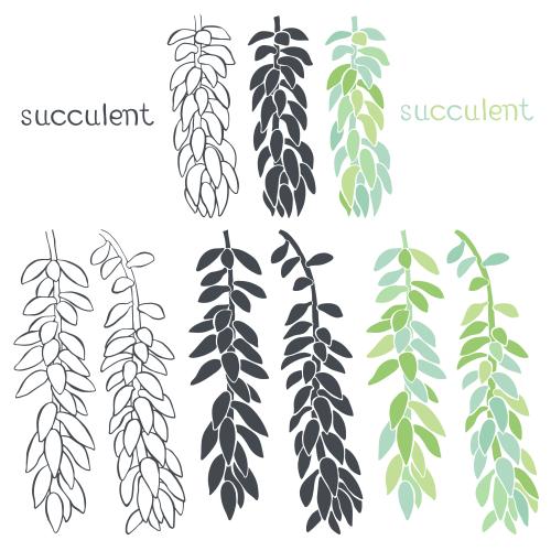 Vektorgrafik sukkulent verschiedene isolierte varianten auf weißem